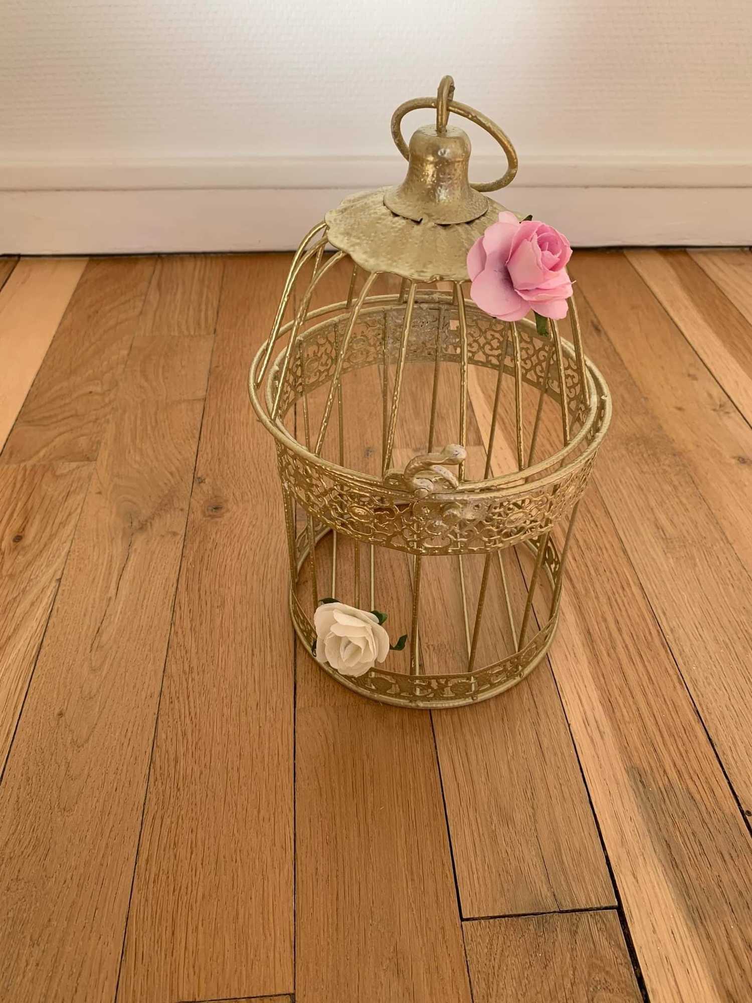 cage à oiseaux à Reims